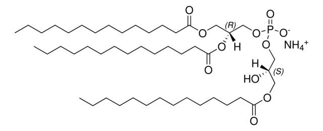 14:0 Hemi BMP (S,R)