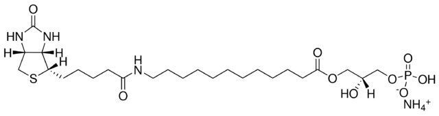12:0 Biotinyl LPA
