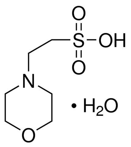 2-Morpholinoethanesulfonic acid monohydrate (MES)