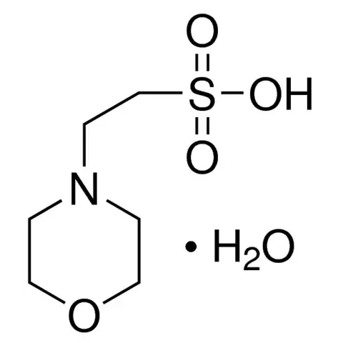 2-Morpholinoethanesulfonic acid monohydrate (MES)