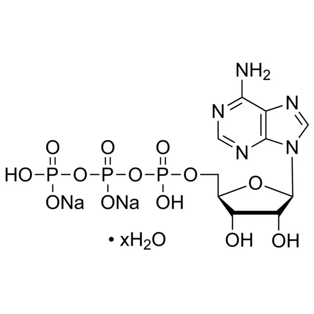Adenosine 5′-triphosphate disodium salt hydrate