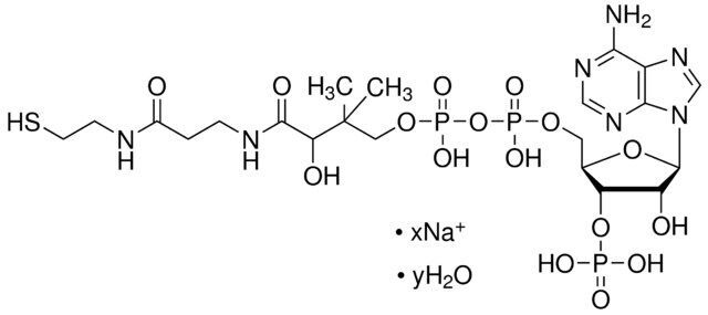 Coenzyme A sodium salt hydrate