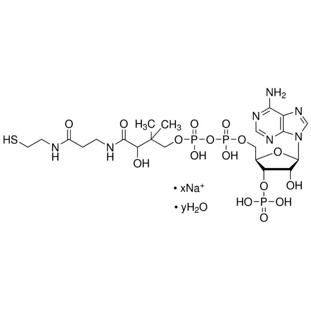 Coenzyme A sodium salt hydrate