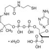 Coenzyme A hydrate