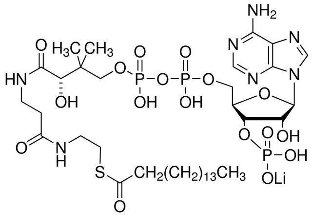 Palmitoyl coenzyme A lithium salt