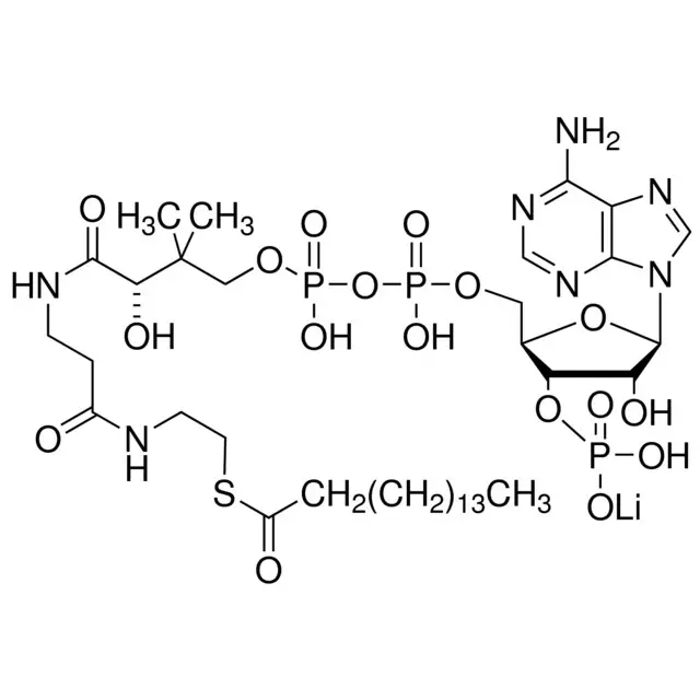 Palmitoyl coenzyme A lithium salt