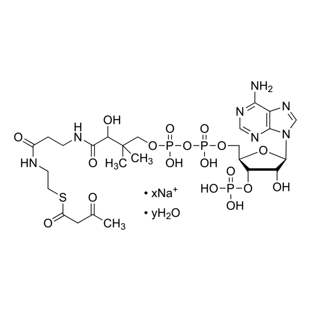 Acetoacetyl coenzyme A sodium salt hydrate