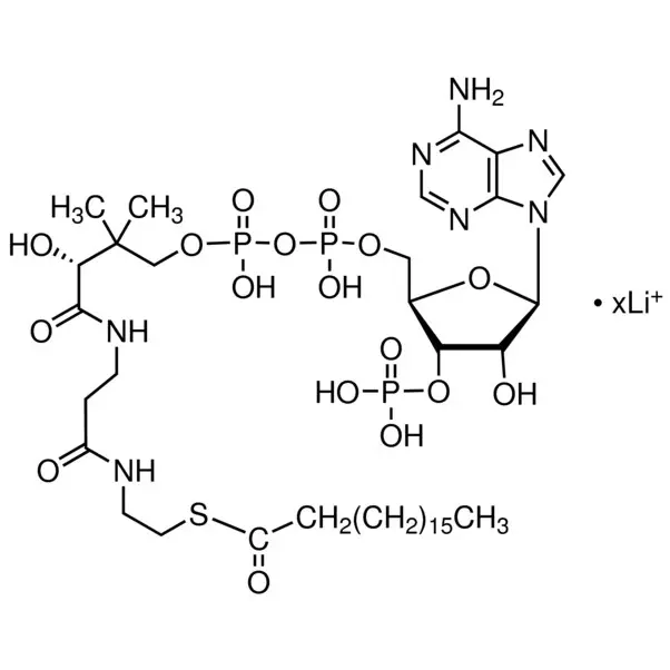 Stearoyl coenzyme A lithium salt