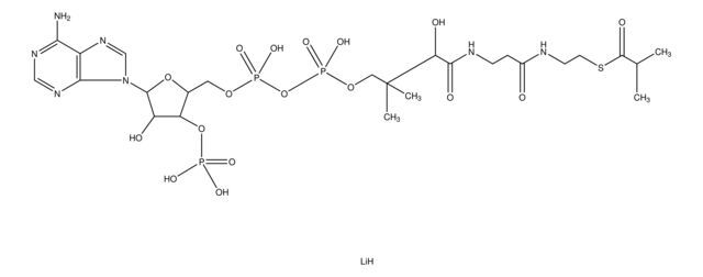 Isobutyryl coenzyme A lithium salt