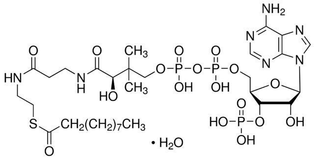Decanoyl coenzyme A monohydrate