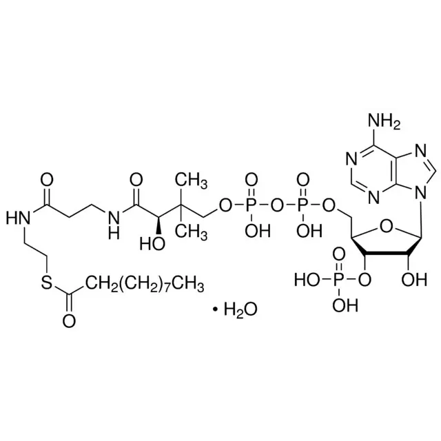 Decanoyl coenzyme A monohydrate