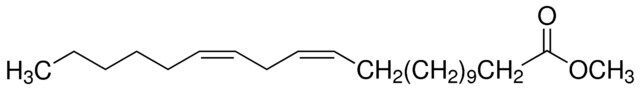 cis-13,16-Docosadienoic acid methyl ester