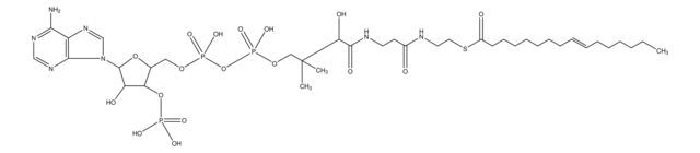 Palmitoleoyl coenzyme A lithium salt