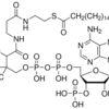 n-Heptadecanoyl coenzyme A lithium salt
