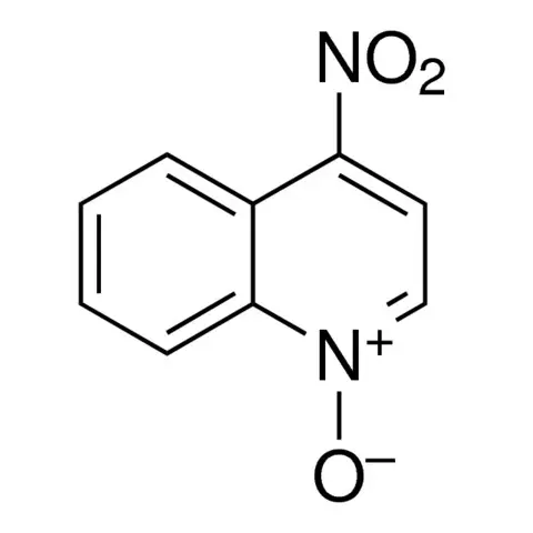 4-Nitroquinoline N-oxide