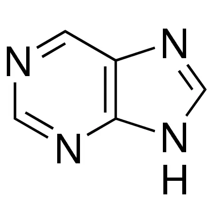 Purine
