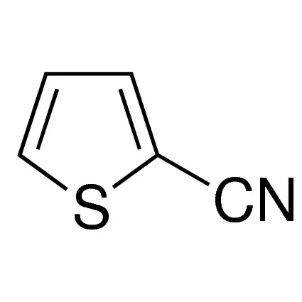 2-Thiophenecarbonitrile