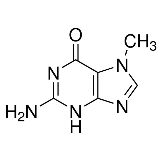 7-Methylguanine