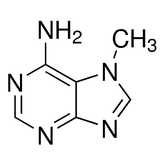 7-Methyladenine