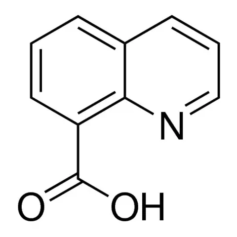 8-Quinolinecarboxylic acid