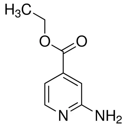 2-Amino-isonicotinic acid ethyl ester