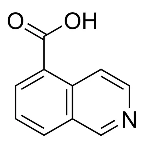 Isoquinoline-5-carboxylic acid