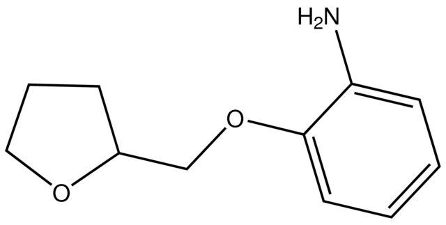 2-(Tetrahydrofuran-2-ylmethoxy)aniline