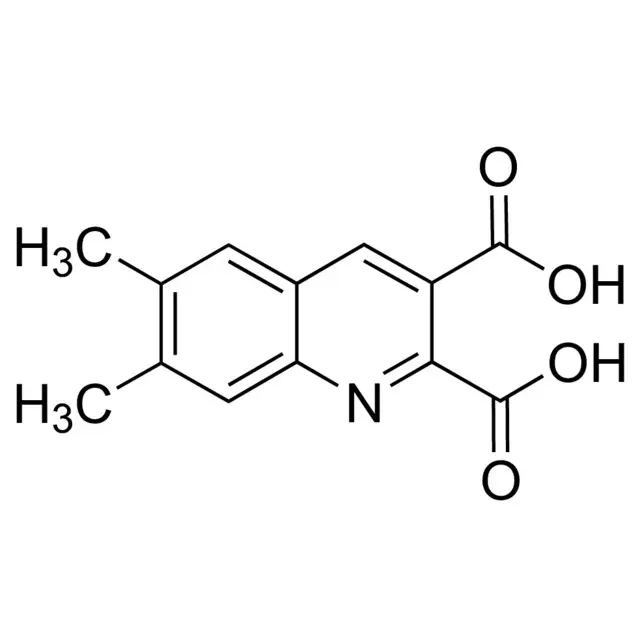 6,7-Dimethylquinoline-2,3-dicarboxylic acid