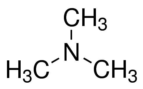 Trimethylamine solution