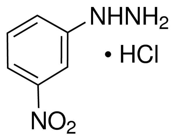 3-Nitrophenylhydrazine hydrochloride