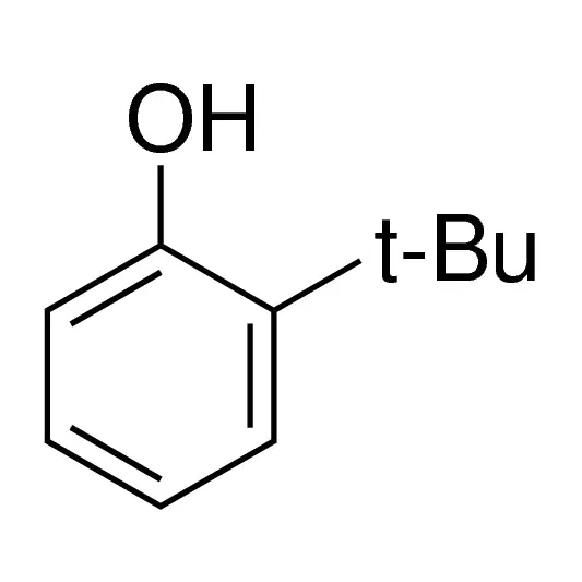 2-tert-Butylphenol