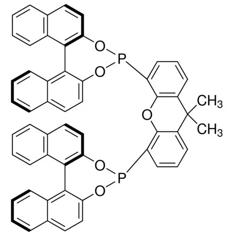(11bR,11′bR)-4,4′-(9,9-Dimethyl-9H-xanthene-4,5-diyl)bis-dinaphtho[2,1-d:1′, 2′-f][1,3,2]dioxaphosphepin