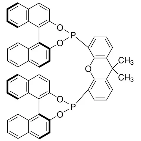 (11bS,11′bS)-4,4′-(9,9-Dimethyl-9H-xanthene-4,5-diyl)bis-dinaphtho[2,1-d:1′,2′-f][1,3,2]dioxaphosphepin
