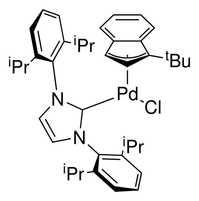 CX231