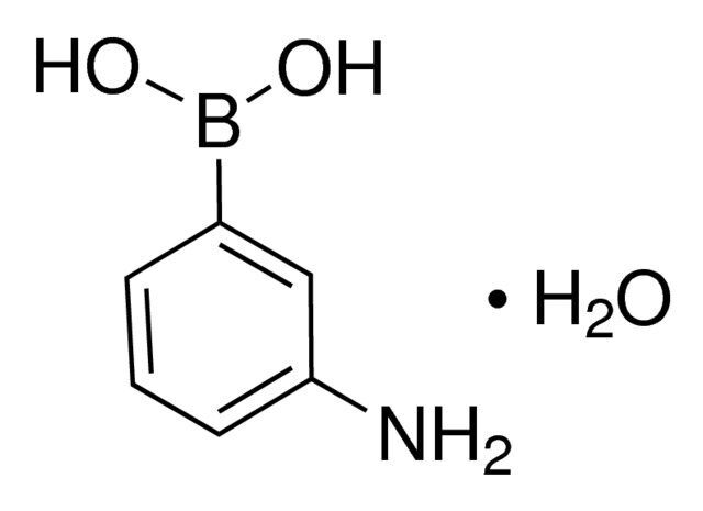 3-Aminophenylboronic acid monohydrate
