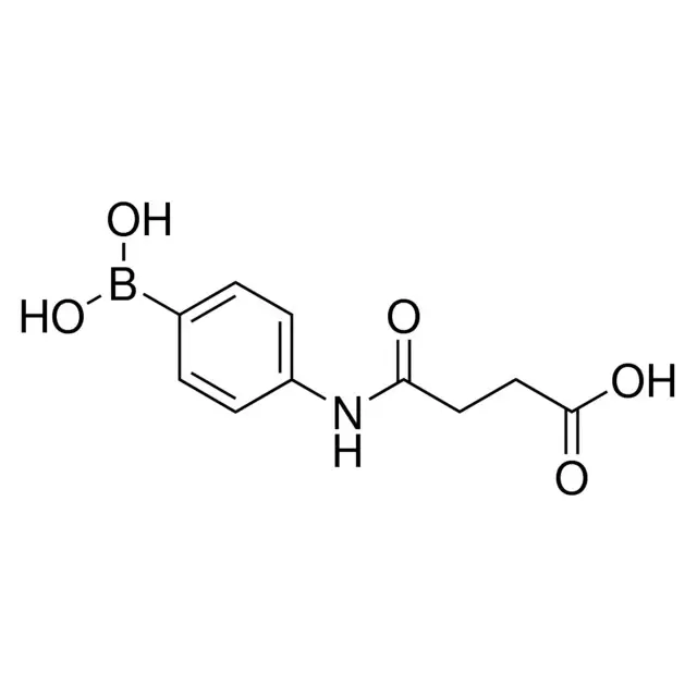 N-(4-Phenylboronic)succinamic acid