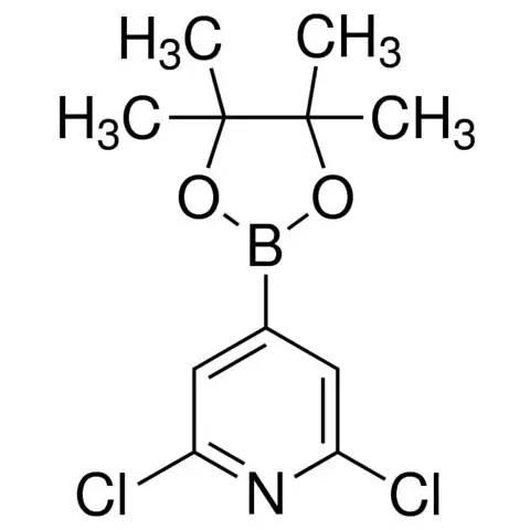 2,6-Dichloropyridinyl-4-boronic acid pinacol ester