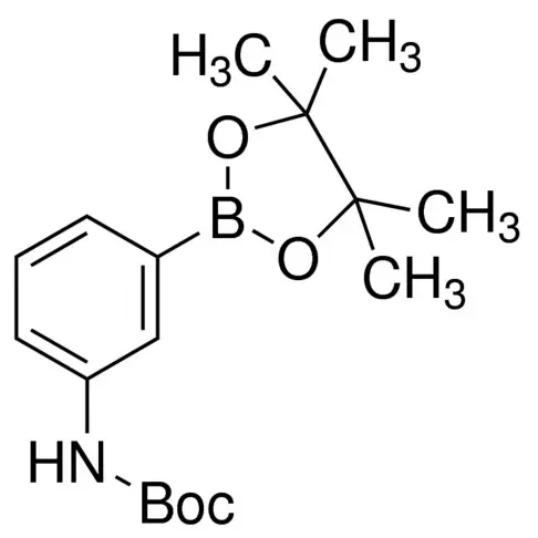 3-(N-Boc-amino)phenylboronic acid pinacol ester