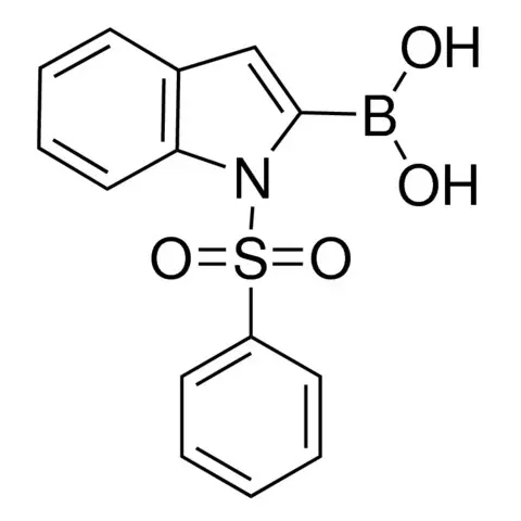 1-(Phenylsulfonyl)-2-indolylboronic acid