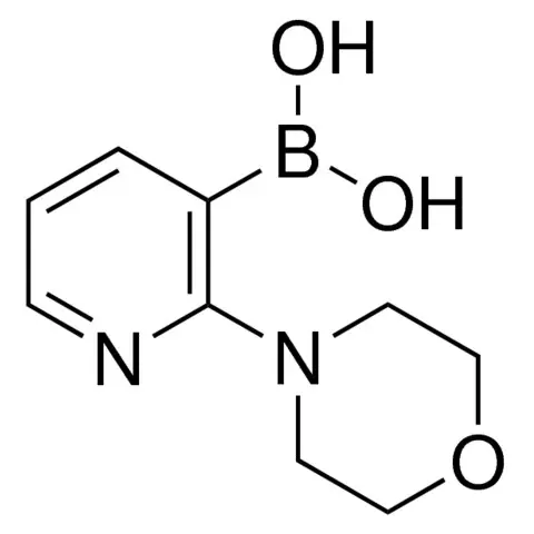 2-Morpholinopyridine-3-boronic acid