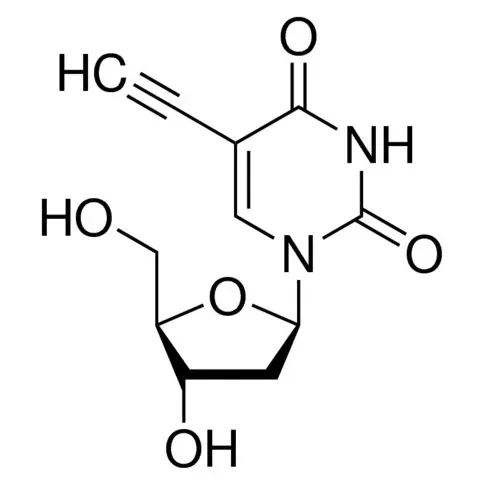 5-Ethynyl-2′-deoxyuridine