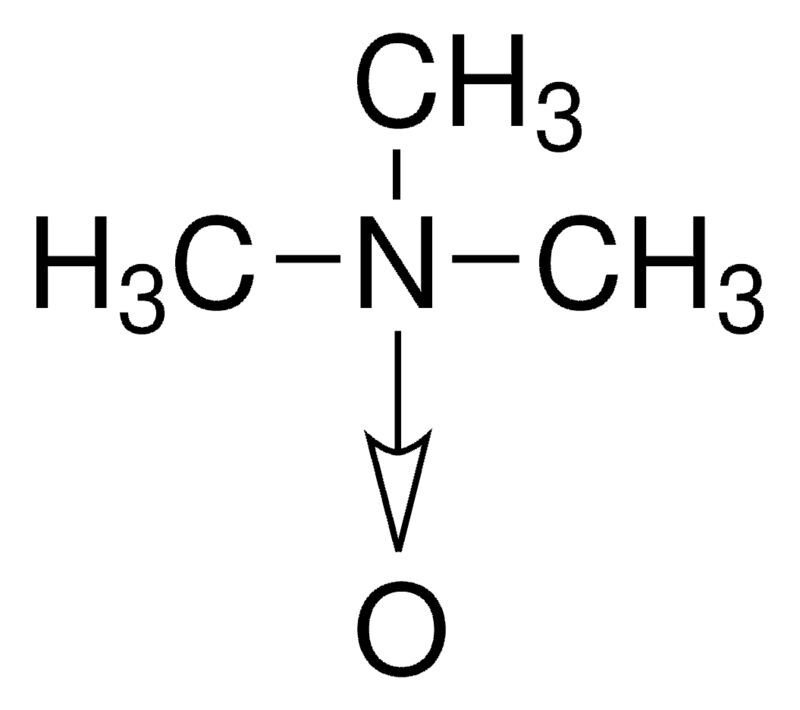 Trimethylamine N-oxide