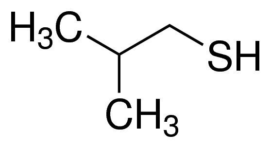 2-Methyl-1-propanethiol