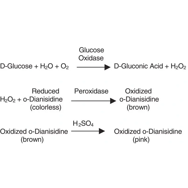 Glucose Oxidase from Aspergillus niger