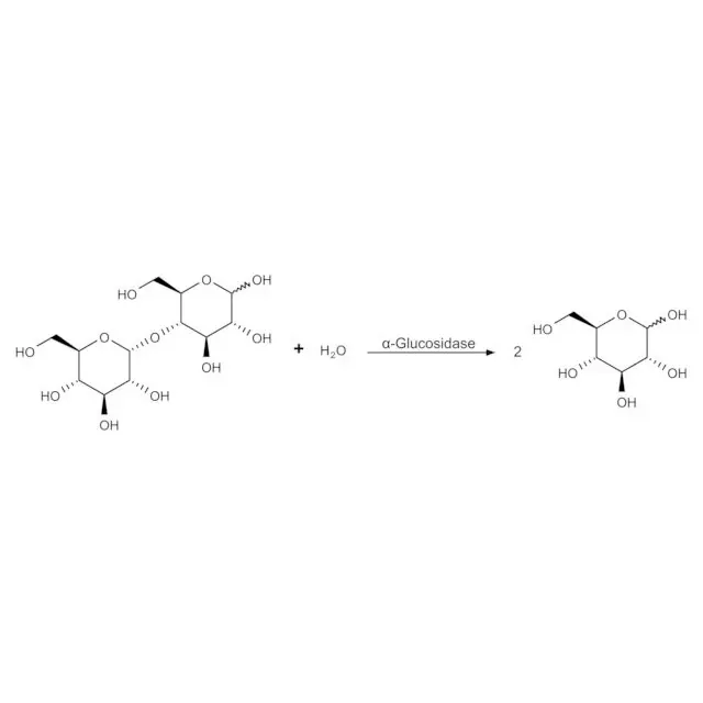 α-Glucosidase from Bacillus stearothermophilus