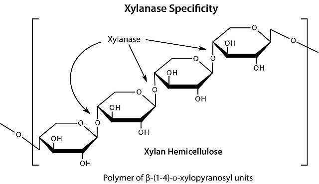 Hemicellulase from Aspergillus niger