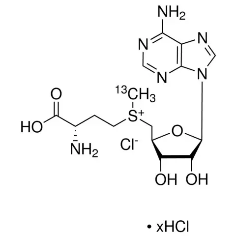 S-(5′-Adenosyl) -L-methionine-(S-methyl-13C)chloride