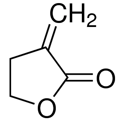 α-Methylene-γ-butyrolactone