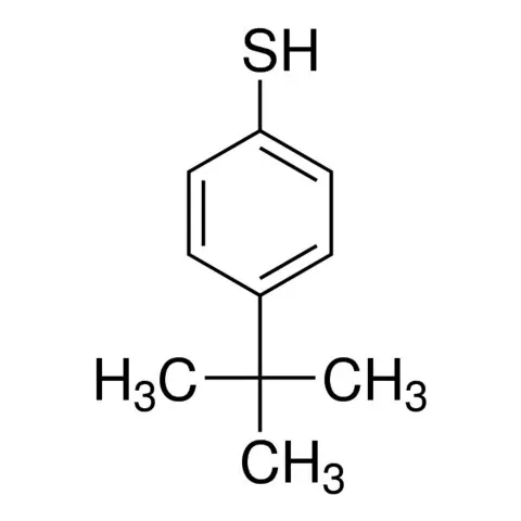 4-tert-Butylbenzenethiol
