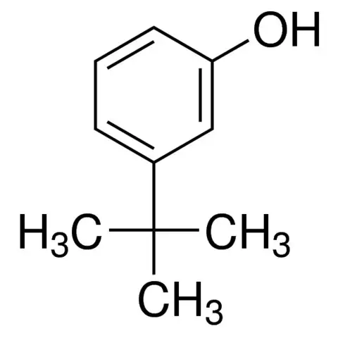 3-tert-Butylphenol